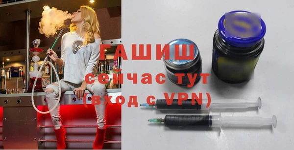 гидра Краснослободск