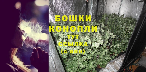 гидра Краснослободск