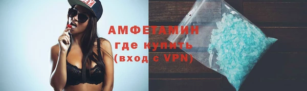 гидра Краснослободск