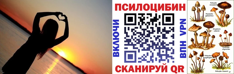 Псилоцибиновые грибы GOLDEN TEACHER  Питкяранта 
